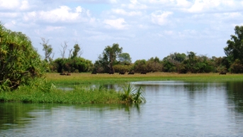 Yellow Water
